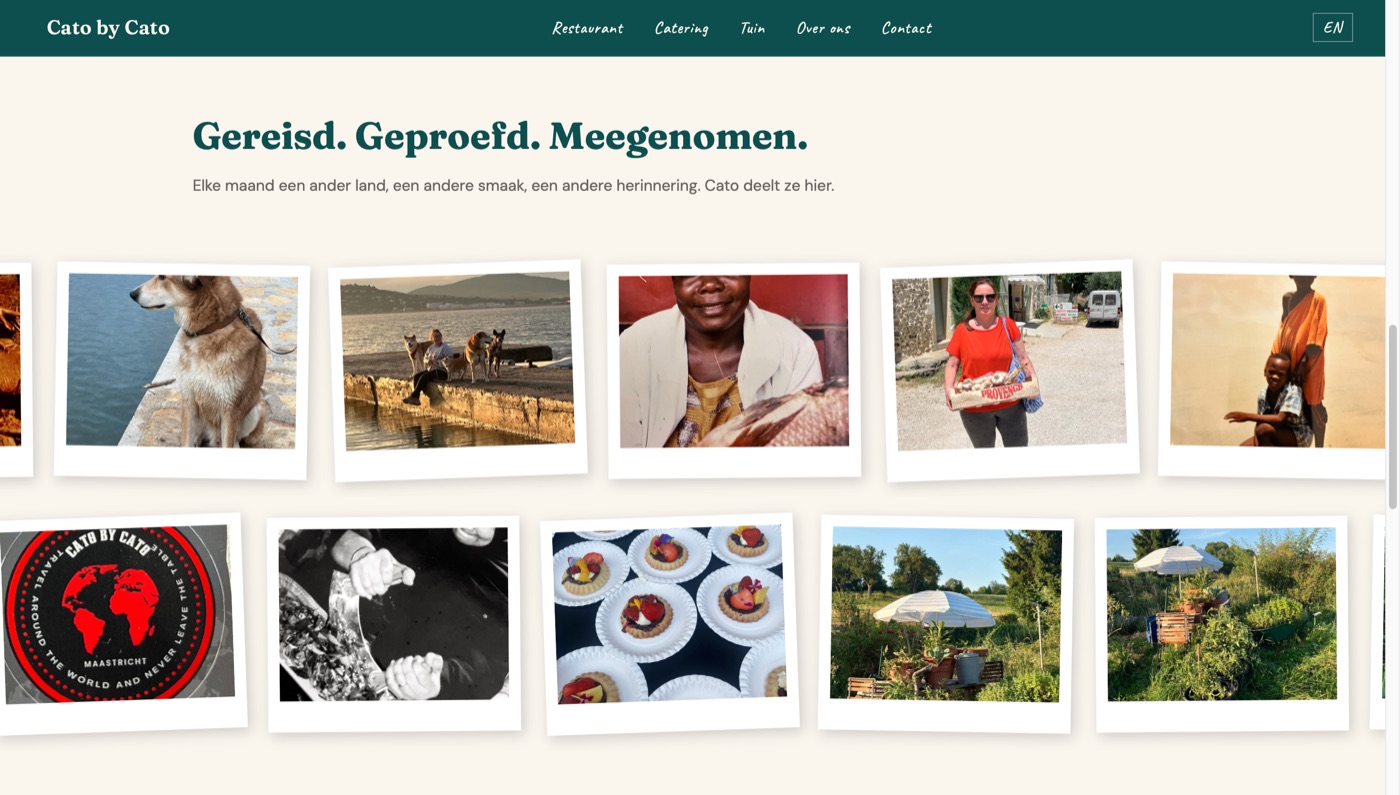 Screenshot der Website von Cato by Cato